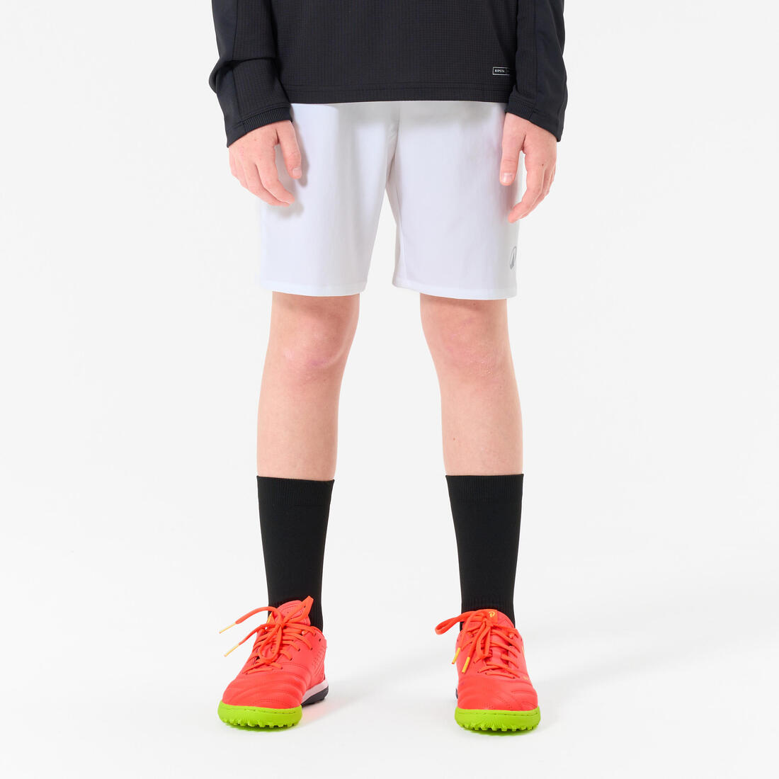 IMG_8558504_1