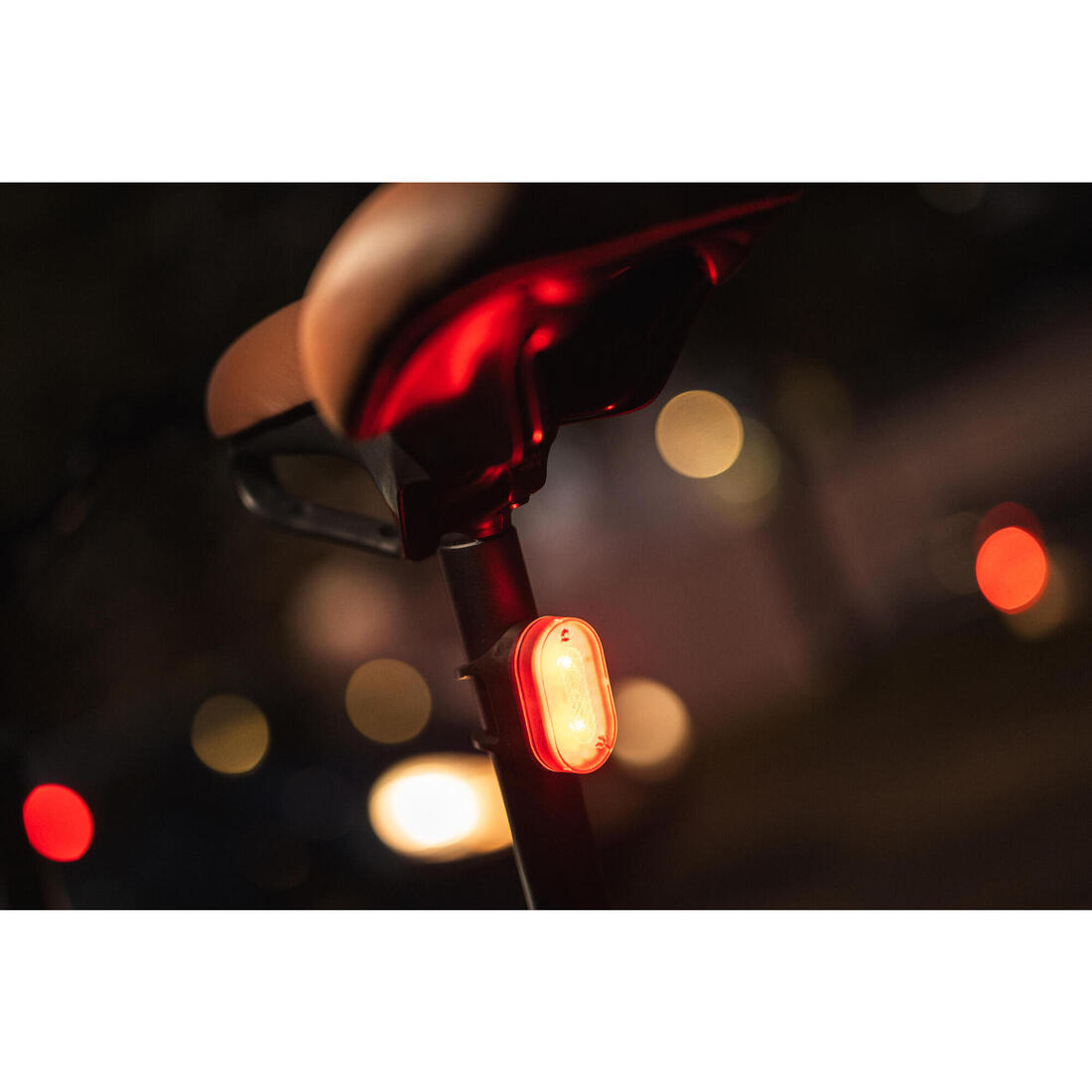 IMG_8655159_11