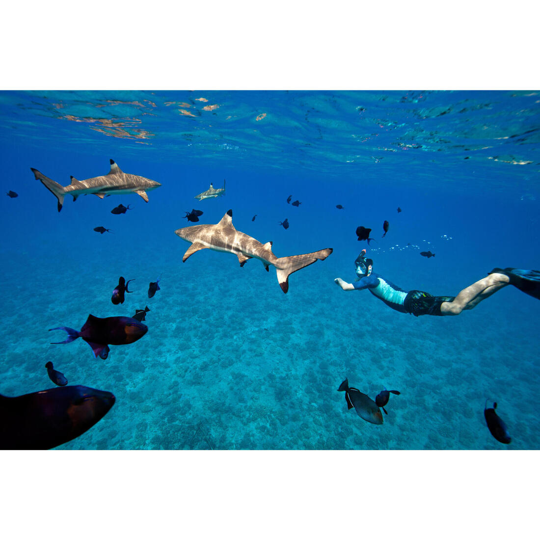 IMG_8528540_12