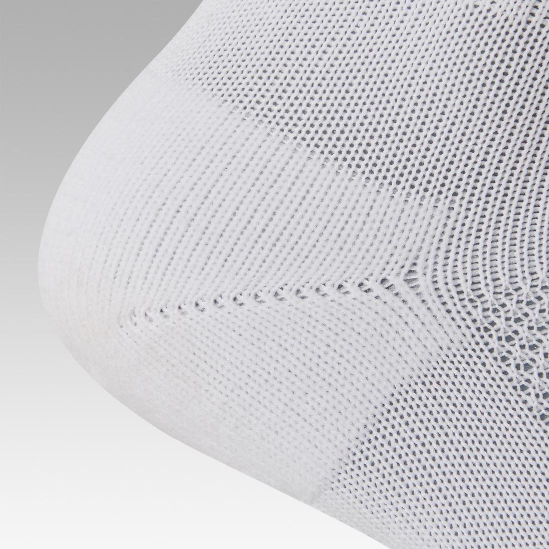 IMG_8350125_5