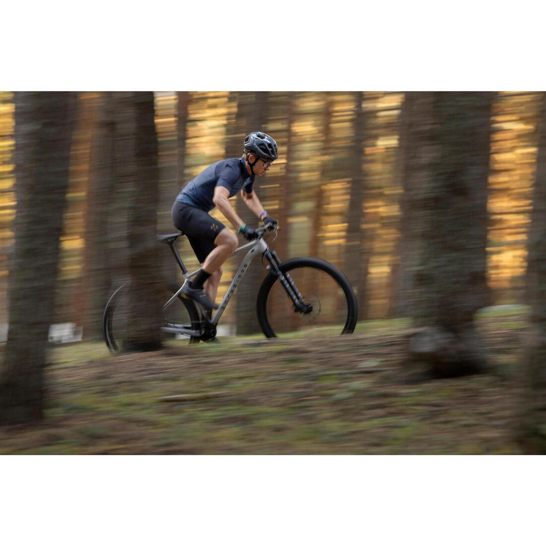 IMG_2815371