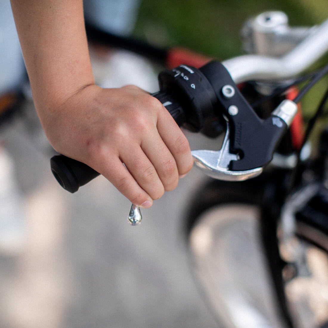IMG_8576495_16