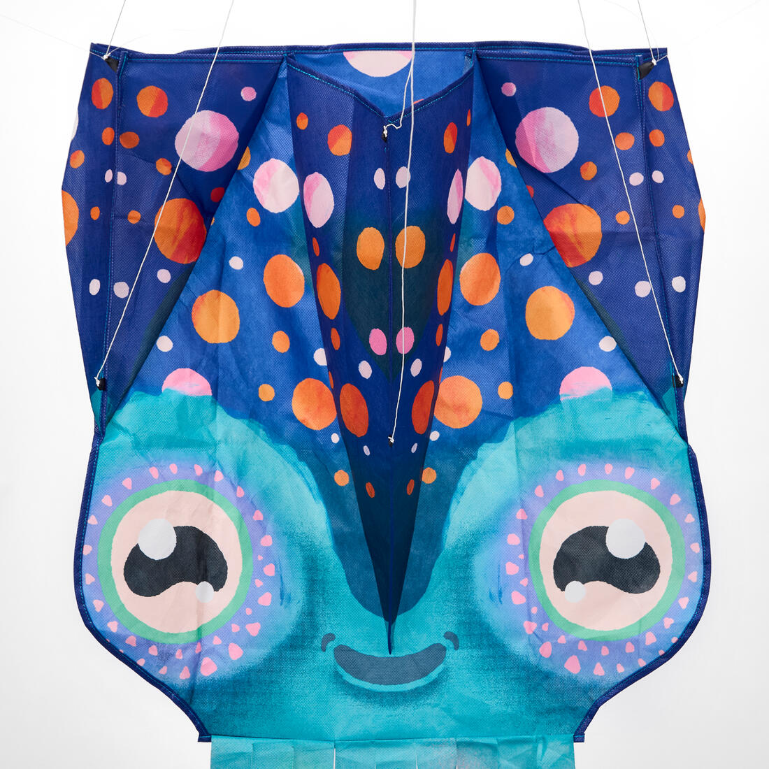 IMG_8987271_2