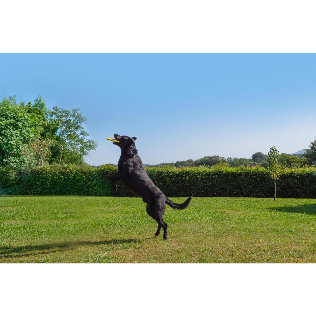 IMG_8654314_8