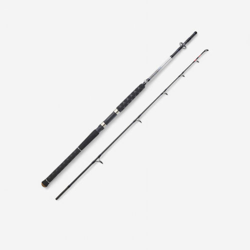 





PRESS-FIT SEA FISHING BOAT ROD SEABOAT 500 180 POWER