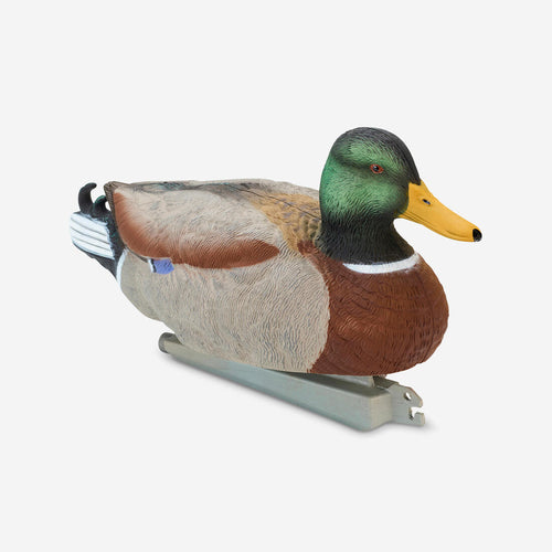 





MALLARD DECOY 500 MALE HD