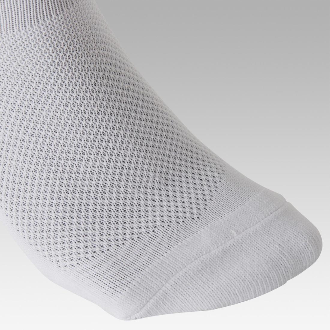 IMG_8350117_5