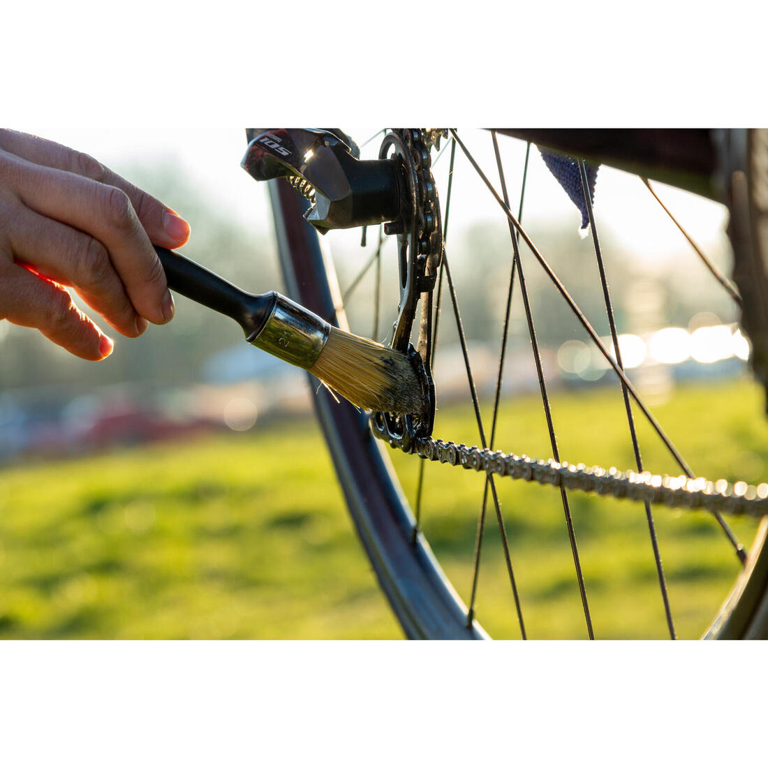 IMG_8579955_13