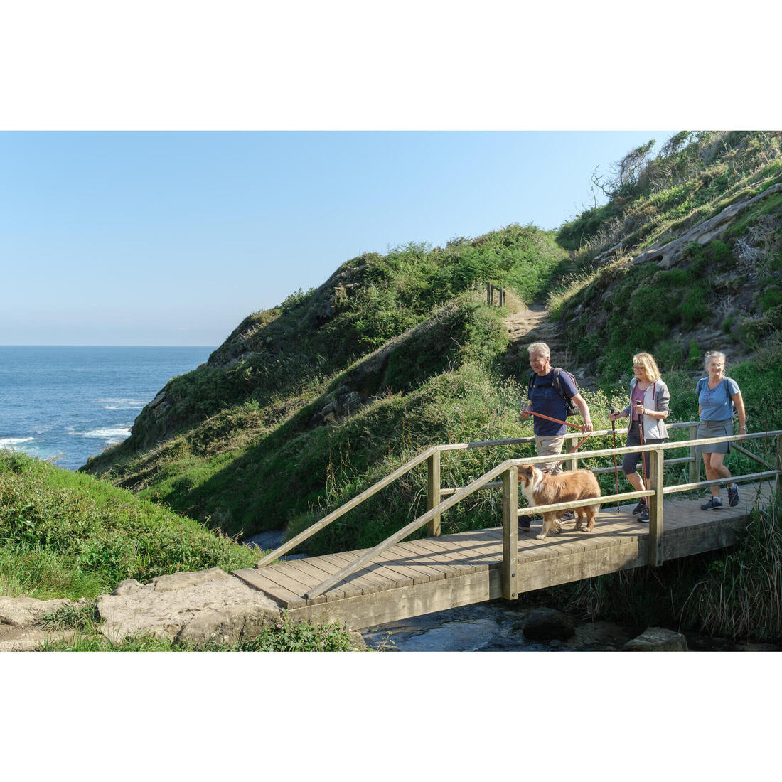 IMG_8503183_9
