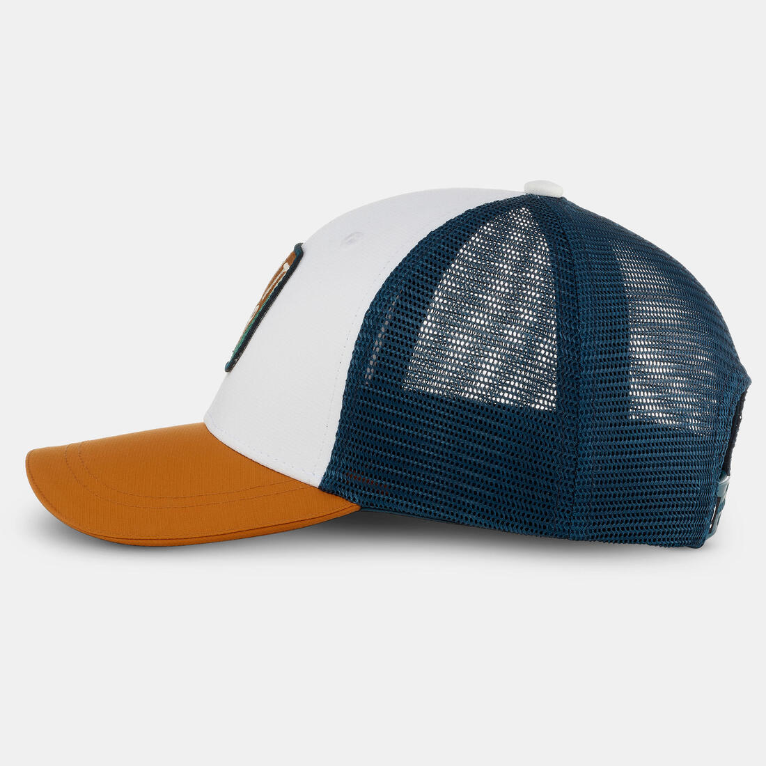 IMG_8676251_1