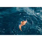 Product thumbnail 4 of 12