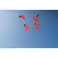 IMG_8579716_23