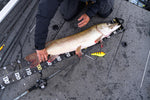 Product thumbnail 5 of 8
