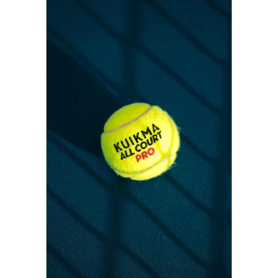 IMG_8646329_8