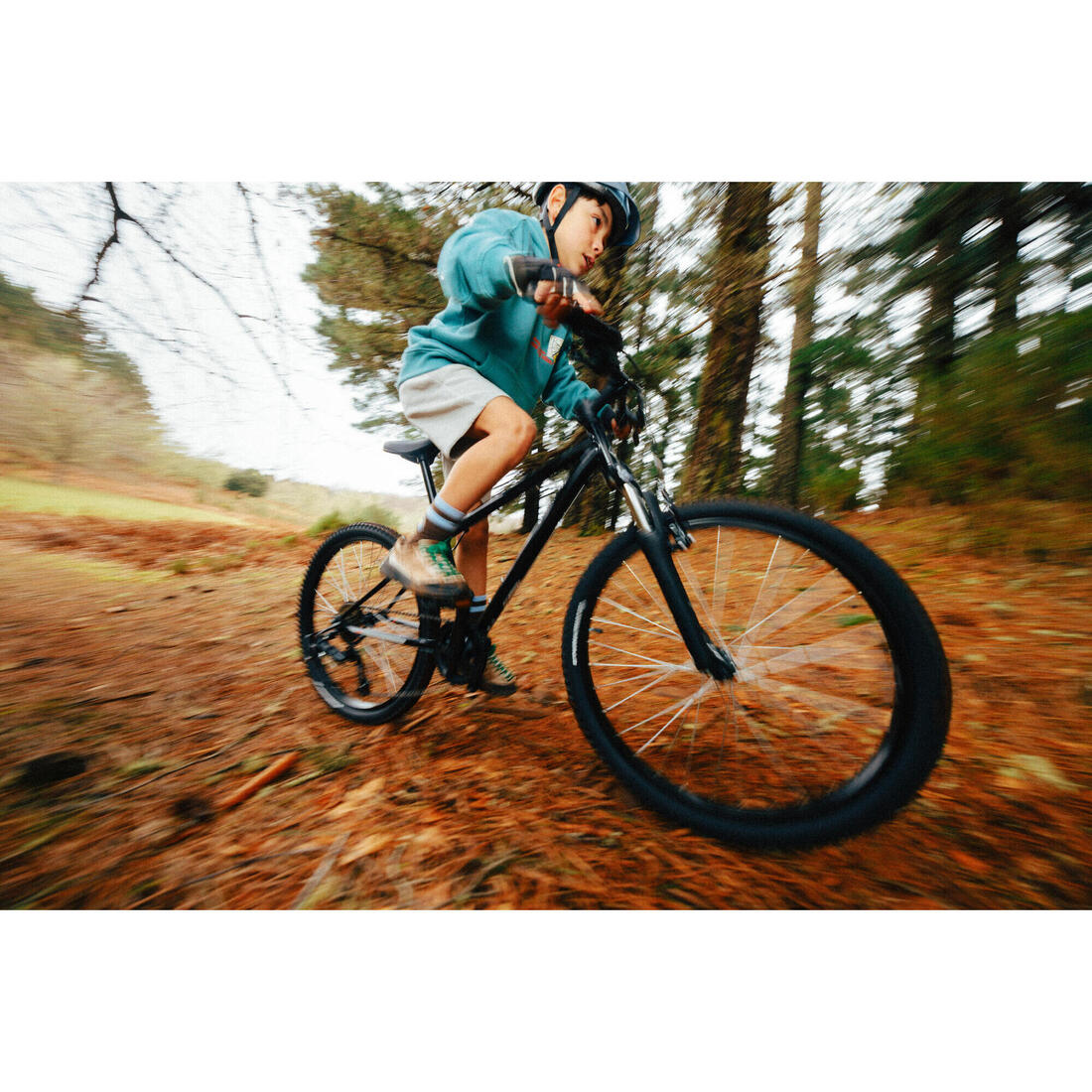 IMG_8733740_13