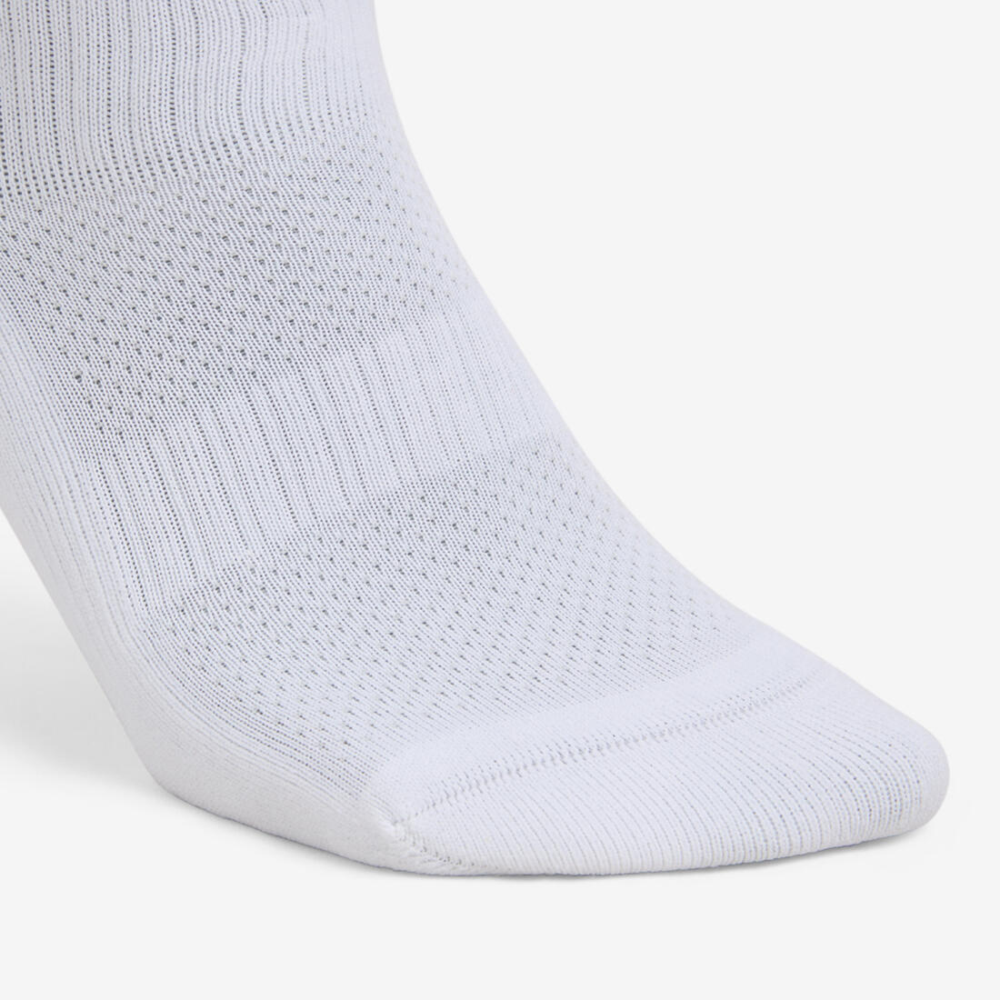 IMG_2824079