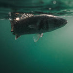 Product thumbnail 5 of 13