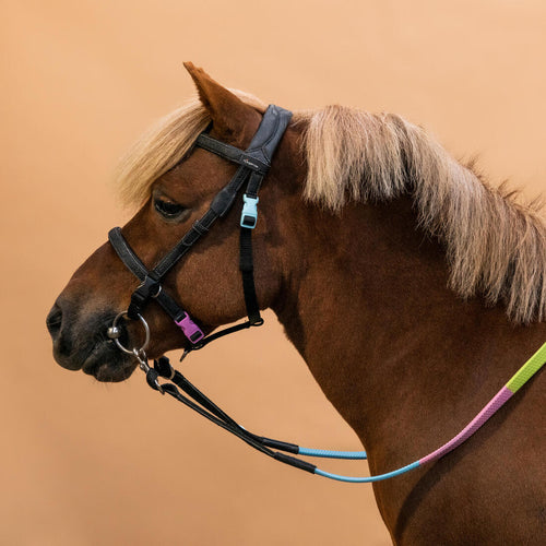 





Horse Riding Synthetic Beginner Pony Bridle and Reins 100 - Black