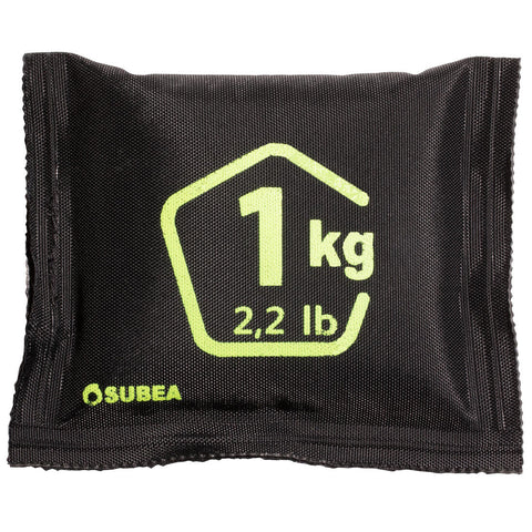 





1kg soft lead shot diving weight