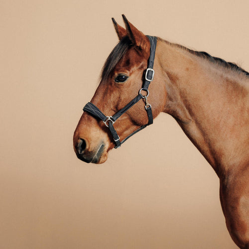 





Horse Riding Synthetic Leather Halter for Horse & Pony 500 - Black