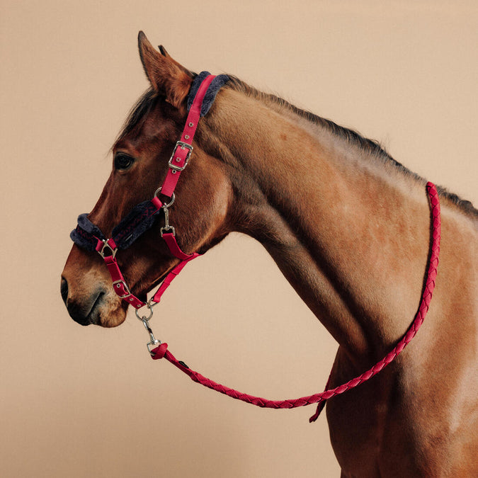 





Horse Riding Halter + Leadrope Kit for Horse & Pony Comfort, photo 1 of 3