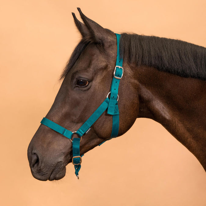 





Horse Riding Halter for Horse and Pony Schooling, photo 1 of 3